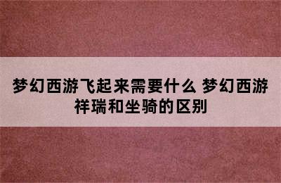 梦幻西游飞起来需要什么 梦幻西游祥瑞和坐骑的区别